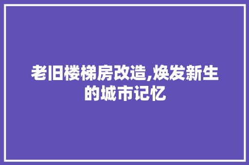 老旧楼梯房改造,焕发新生的城市记忆