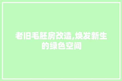 老旧毛胚房改造,焕发新生的绿色空间 墙体维修