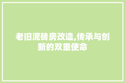 老旧泥砖房改造,传承与创新的双重使命