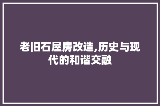 老旧石屋房改造,历史与现代的和谐交融