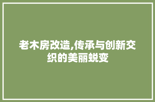 老木房改造,传承与创新交织的美丽蜕变