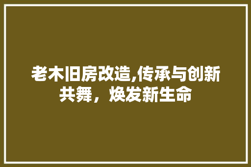 老木旧房改造,传承与创新共舞，焕发新生命