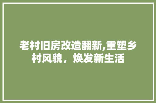 老村旧房改造翻新,重塑乡村风貌，焕发新生活