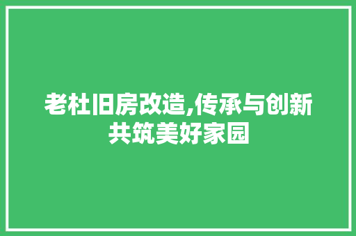 老杜旧房改造,传承与创新共筑美好家园