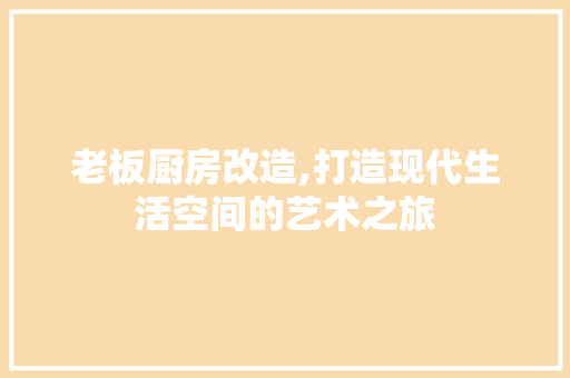 老板厨房改造,打造现代生活空间的艺术之旅