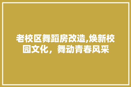 老校区舞蹈房改造,焕新校园文化，舞动青春风采