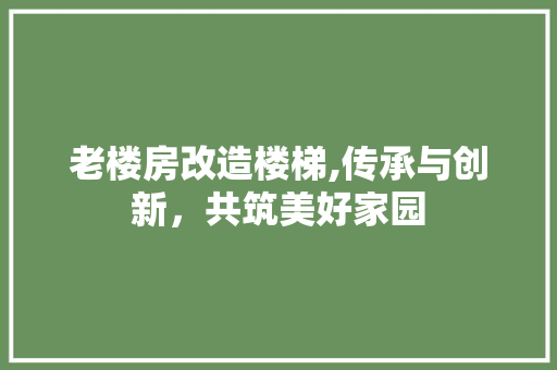 老楼房改造楼梯,传承与创新，共筑美好家园