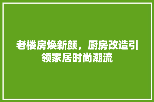 老楼房焕新颜，厨房改造引领家居时尚潮流