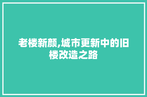 老楼新颜,城市更新中的旧楼改造之路 户内维修