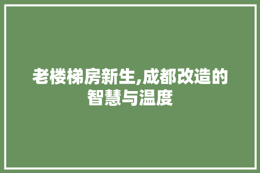 老楼梯房新生,成都改造的智慧与温度