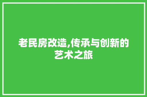 老民房改造,传承与创新的艺术之旅