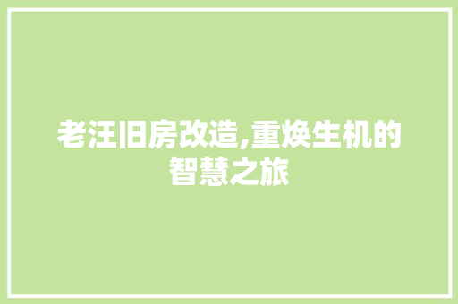 老汪旧房改造,重焕生机的智慧之旅