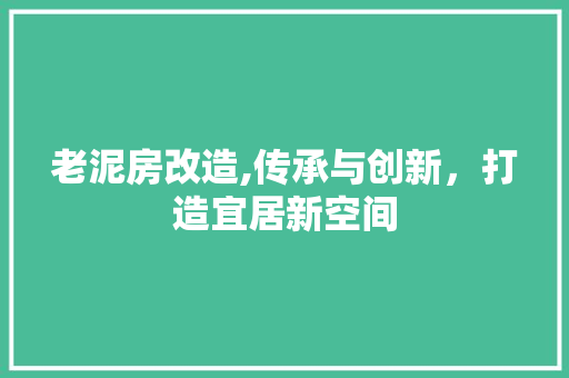 老泥房改造,传承与创新，打造宜居新空间