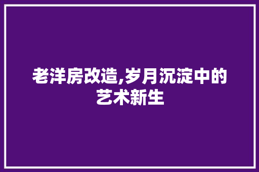 老洋房改造,岁月沉淀中的艺术新生