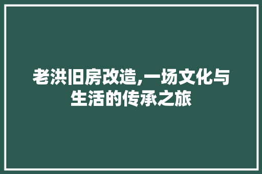 老洪旧房改造,一场文化与生活的传承之旅
