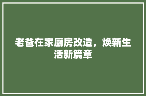 老爸在家厨房改造，焕新生活新篇章