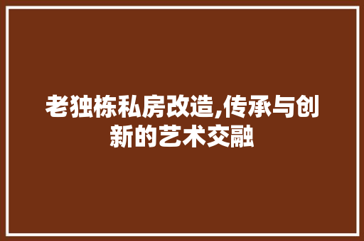 老独栋私房改造,传承与创新的艺术交融 家电维修