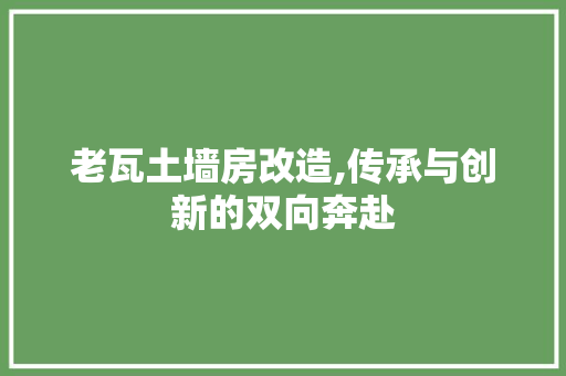 老瓦土墙房改造,传承与创新的双向奔赴