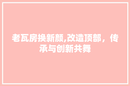 老瓦房换新颜,改造顶部，传承与创新共舞