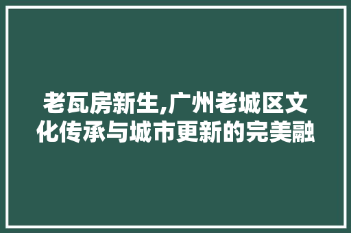 老瓦房新生,广州老城区文化传承与城市更新的完美融合