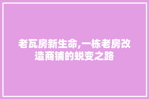 老瓦房新生命,一栋老房改造商铺的蜕变之路