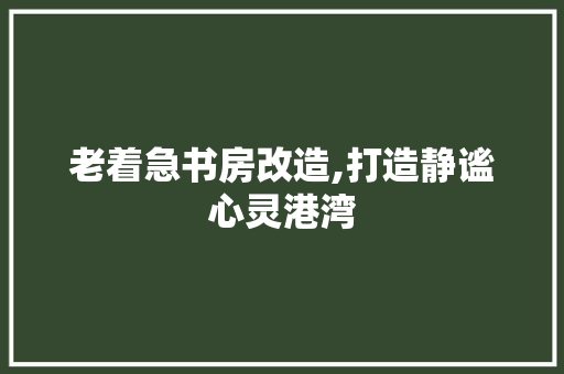 老着急书房改造,打造静谧心灵港湾