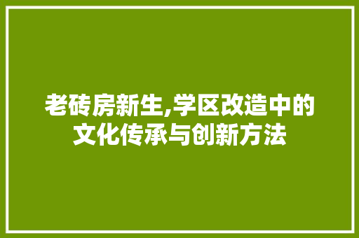 老砖房新生,学区改造中的文化传承与创新方法
