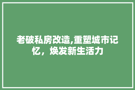 老破私房改造,重塑城市记忆，焕发新生活力