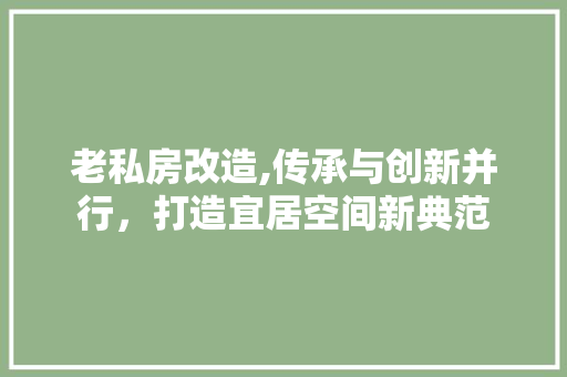 老私房改造,传承与创新并行，打造宜居空间新典范