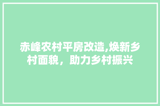 赤峰农村平房改造,焕新乡村面貌，助力乡村振兴