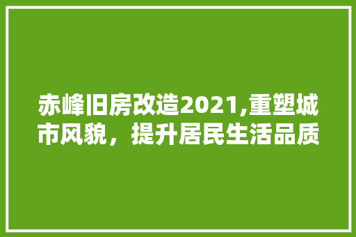 赤峰旧房改造2021,重塑城市风貌，提升居民生活品质