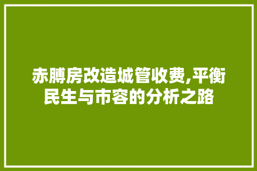 赤膊房改造城管收费,平衡民生与市容的分析之路 户内维修