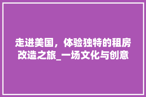 走进美国，体验独特的租房改造之旅_一场文化与创意的碰撞 厨房维修