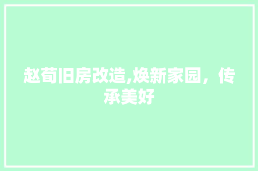 赵荀旧房改造,焕新家园，传承美好