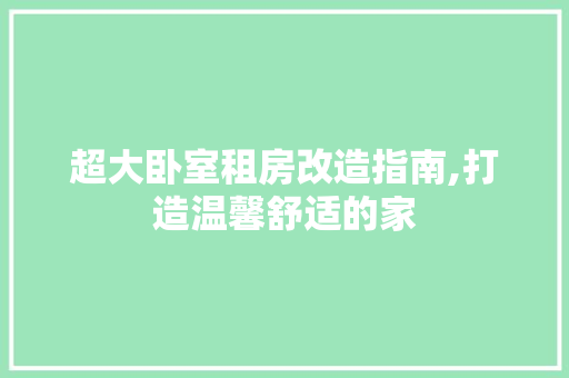 超大卧室租房改造指南,打造温馨舒适的家 墙体维修