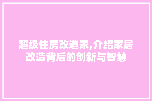 超级住房改造家,介绍家居改造背后的创新与智慧 厨房维修
