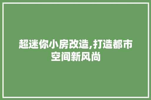 超迷你小房改造,打造都市空间新风尚