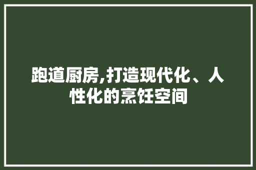 跑道厨房,打造现代化、人性化的烹饪空间