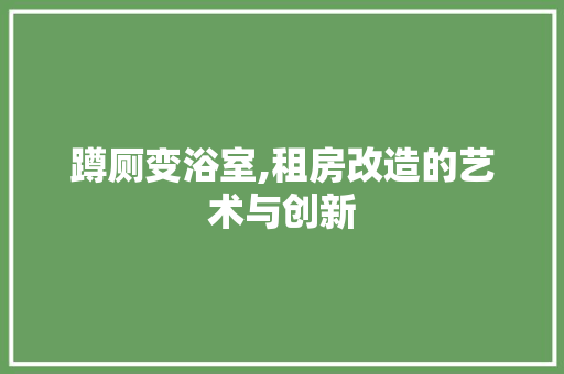 蹲厕变浴室,租房改造的艺术与创新