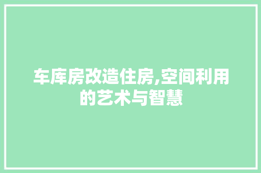 车库房改造住房,空间利用的艺术与智慧