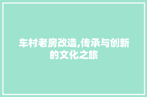 车村老房改造,传承与创新的文化之旅