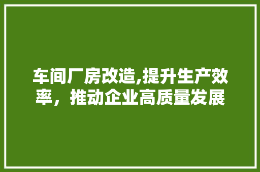 车间厂房改造,提升生产效率，推动企业高质量发展