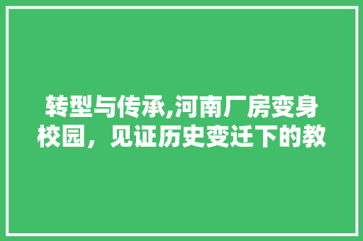 转型与传承,河南厂房变身校园，见证历史变迁下的教育新篇章