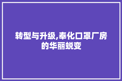 转型与升级,奉化口罩厂房的华丽蜕变