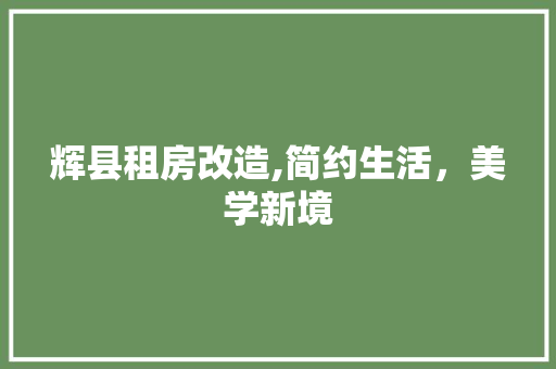 辉县租房改造,简约生活，美学新境