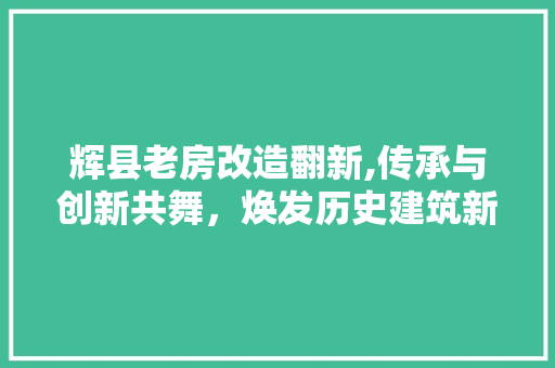 辉县老房改造翻新,传承与创新共舞，焕发历史建筑新活力