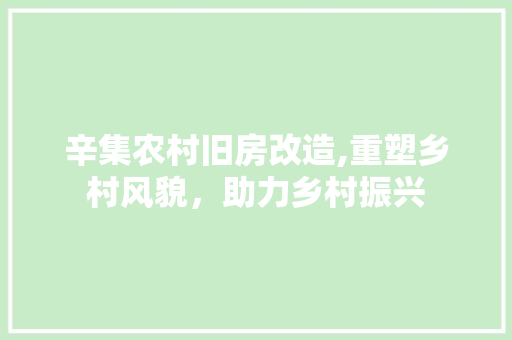 辛集农村旧房改造,重塑乡村风貌，助力乡村振兴