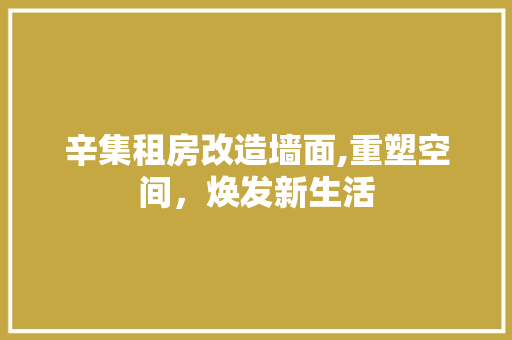 辛集租房改造墙面,重塑空间，焕发新生活