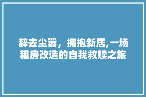 辞去尘嚣，拥抱新居,一场租房改造的自我救赎之旅