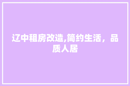 辽中租房改造,简约生活，品质人居